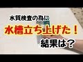 水質検査用の水槽を立ち上げた！その結果は？