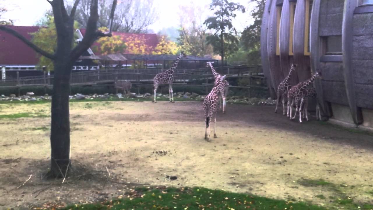Jochem Myjer imiteert Martin Gaus