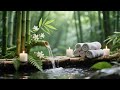 Stop Overthinking 🌸 Relaxing Spa Music for Anxiety Relief & Deep Sleep #24