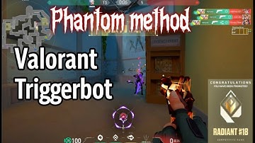 The Best External AI TriggerBot & Aim Assist For Valorant (Private cheat) Discord 2025 Undetected