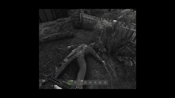 Click Click Click Click --- Maybe load your gun. #dayz #shorts @raming17