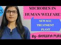 SEWAGE TREATMENT|| MICROBES IN HUMAN WELFARE|| CH-10|| CLASS-12TH|| BIOLOGY