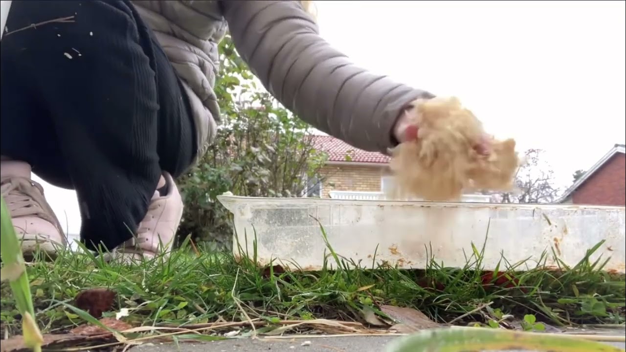 Recap på städvideor!❤️🐰