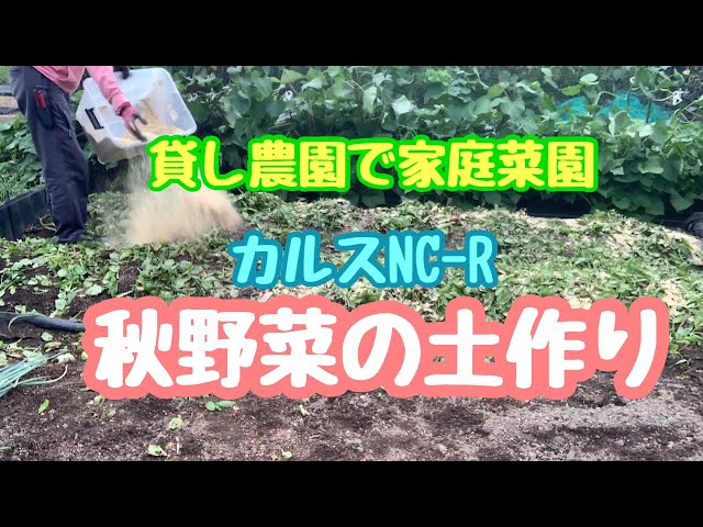 220826【貸し農園】で【家庭菜園】カルスNC-Rを使って秋野菜の 220826【貸し農園】で【家庭菜園】カルスNC-Rを使って秋野菜の