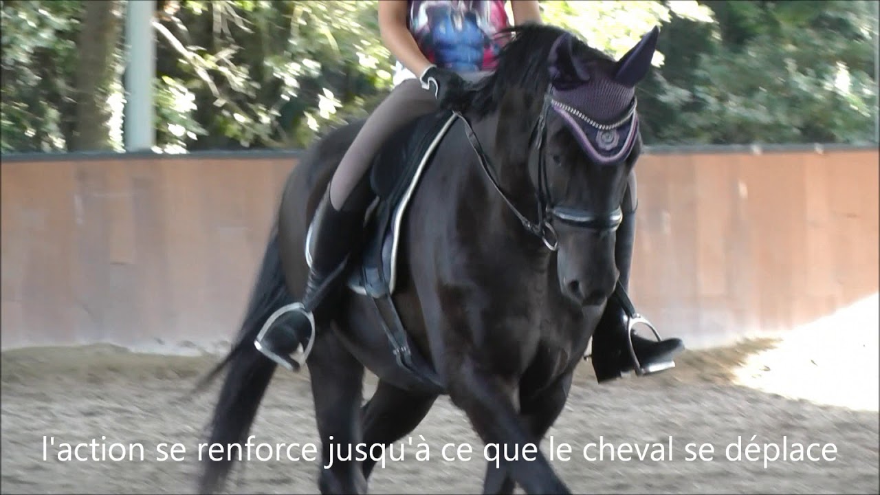 La réponse aux jambes