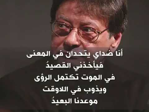 لم ينتظر أحدا