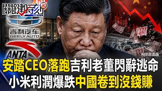 ANTA CEO Flees! Geely Chairman Resigns! Xiaomi Q2 Profits Plummet 40%! Is China Burned Out & B...