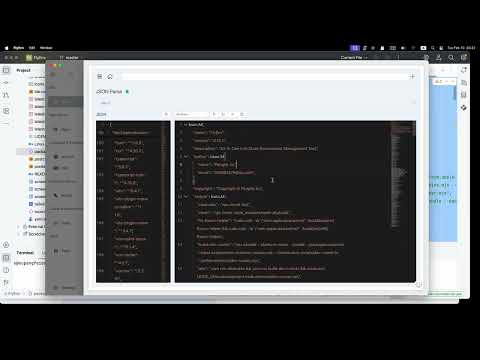 FlyEnv JSON Parse Tool:  Convert JSON,JS, PHP Array,XML,YAML,Go Struct,Java ,Kotlin to each other