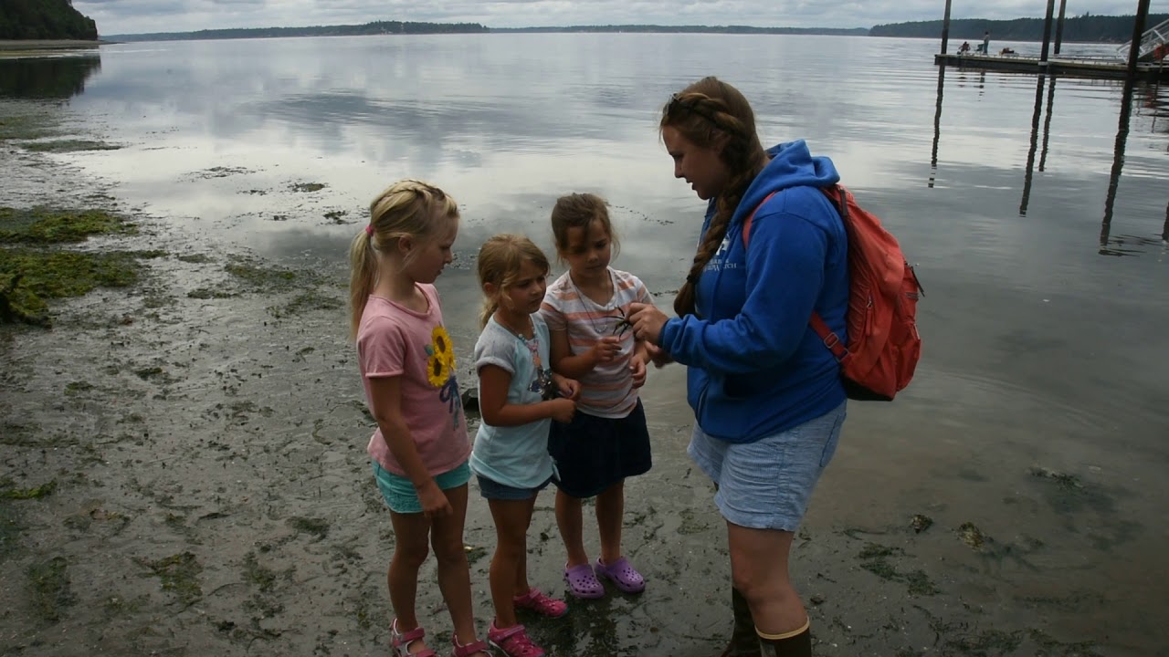 Kelp Crab at Joemma State Park