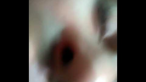 Model activity task class 10 bengali part 2 with answer for (all class update senter)