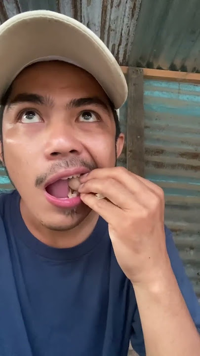 Eating betel fruit
