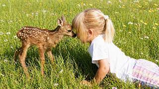 Cute Animals Have The Best Reactions When Around Little Humans! ❤️ screenshot 5
