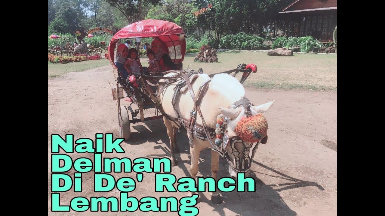Naik delman di De Ranch Lembang