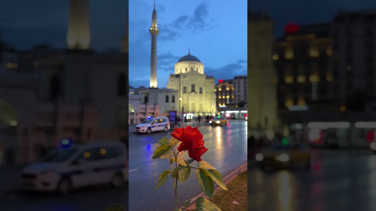 A red rose dances in the rain, its beauty magnified by each drop's gentle caress. ❤️🇹🇷 