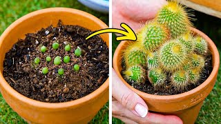 🌿 Gartenzauber: Kreative Ideen für dein grünes Paradies! 🌿