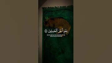 القران الكريم القارئ عبدالرحمن مسعد
