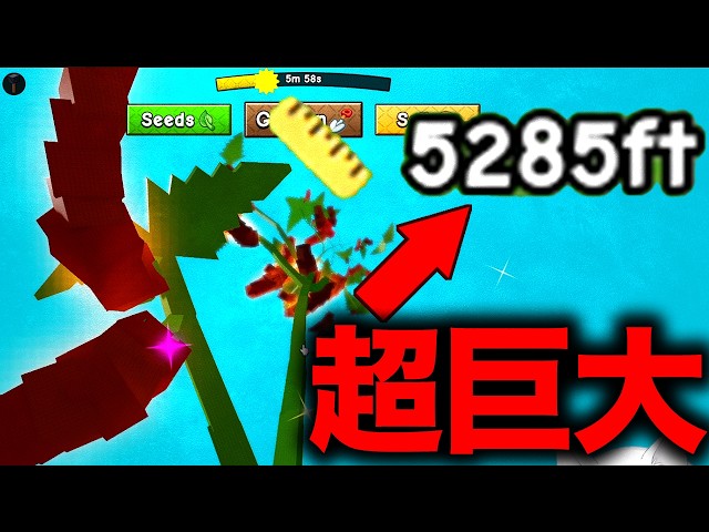 World's first!? The 