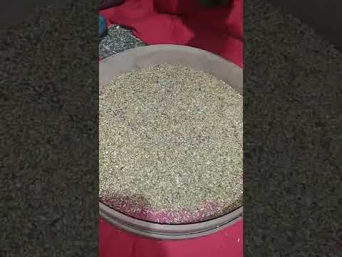 فيديو تخزين القمح