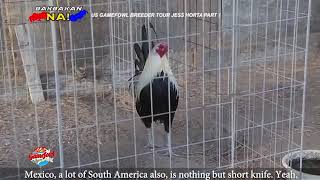THUNDERBIRD US TOUR AMERICAN BREEDER JESS HORTA PART 1 SEPT 8, 2019