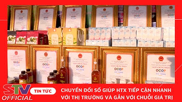 STV - Đẩy mạnh tuyên truyền chuyển đổi số cho các Hợp tác xã