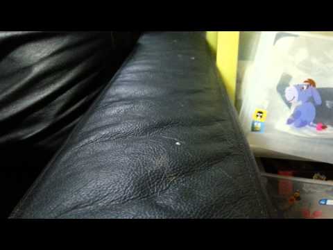 りゅうのライデンナックル レシラムのレアゲット 