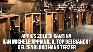 Appius 2018 di Cantina San Michele Appiano, il top dei bianchi dell'enologo Hans Terzer