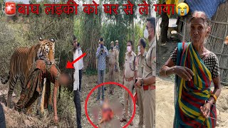Plz Help Tiger Kills 15-Year-Old Girl Tiger Attack Village Girl Tiger Attack Viral Video Vlog