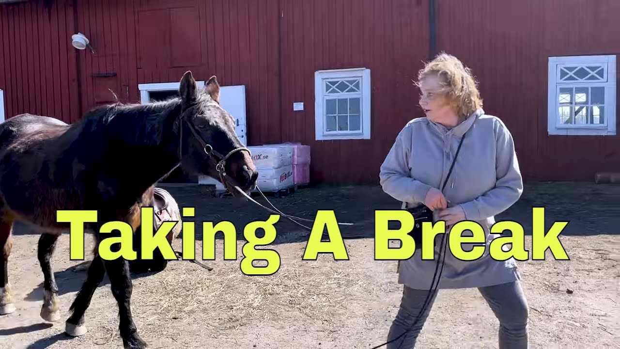 I Am Taking A Break - YouTube