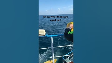 Line throwing apparatus