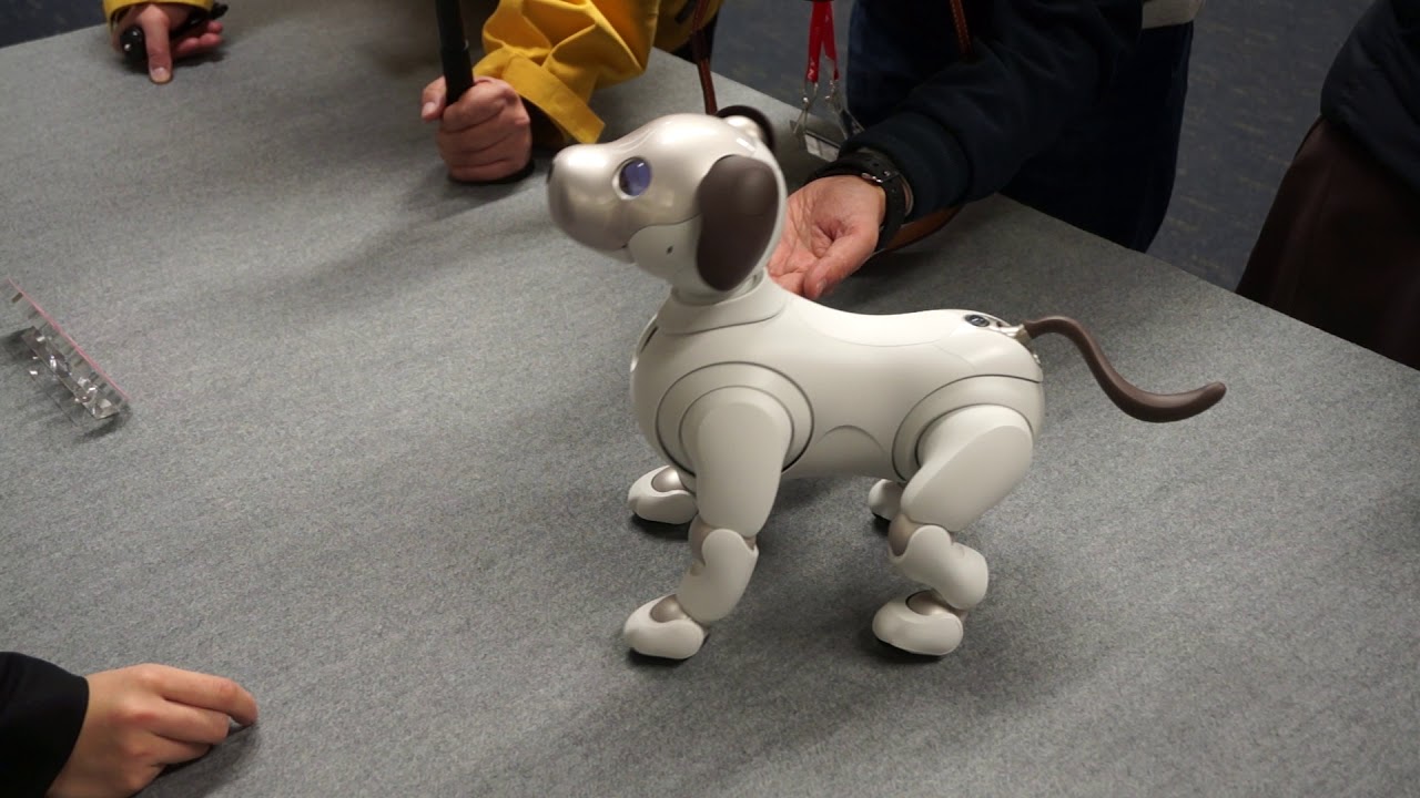 aibo グレー 　美品 aiboついに誕生(発売)。オーナーに引き渡し、「のびのび育って」 - AV