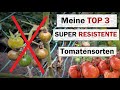 Meine top 3  tomatensorten mit hervorragender kraut und braunfule toleranz  ankndigung