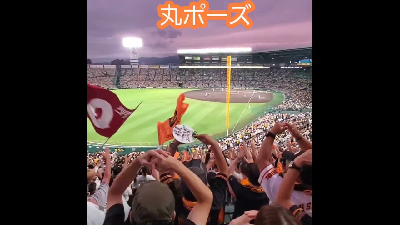 阪神甲子園球場の巨人戦レフトビジター専用応援おとな外野席 読売ジャイアンツ - 阪神巨人戦 甲子園 レフトビジター専用応援席の