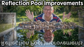 Improving my reflection pool to get more natural photographs