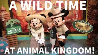 YouTuber Meetup! | Disney Vlog | Animal Kingdom | Walt Disney World