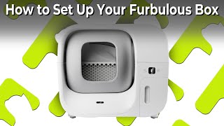 FurbulousHowto Series: How to Set Up Your Furbulous Box