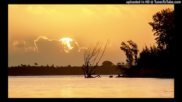 Adani and Wolf - Daylight