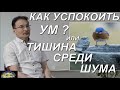 "Как успокоить Ум? Или Тишина Среди Шума" Сатсанг Челябинск 1 ч.