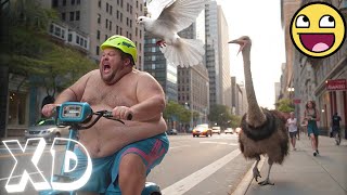 Si Te Ries Pierdes Bloopers 2025 Caídas Graciosas 2025 Memes Xdv66