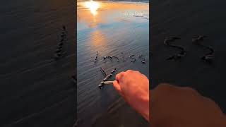 Jai Jahan Tu Jaaye Paye Mujhe Hi Paye Whatsapp Status Dj Remix 