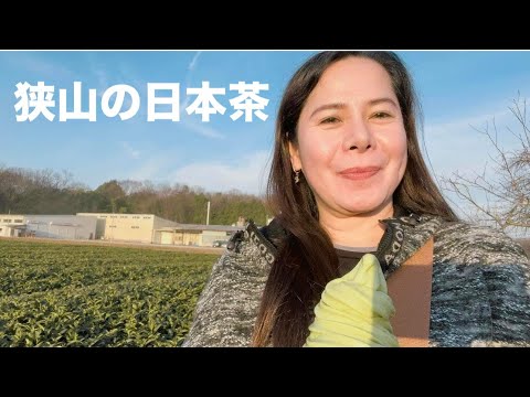 埼玉県 狭山 お茶の街。￼Japan Green tea Plantation! ￼