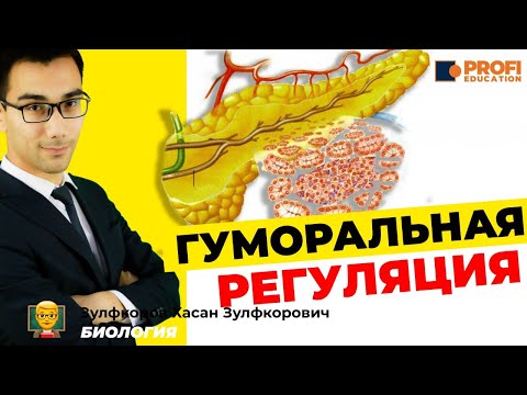 Регуляция организма. Гуморальная регуляция