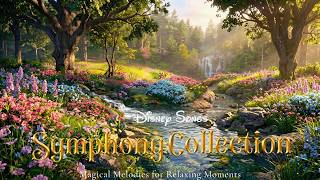 Fairytale Disney Symphony Playlist with Magical Forest ✨ Soft Melodies for Cozy Morning screenshot 4