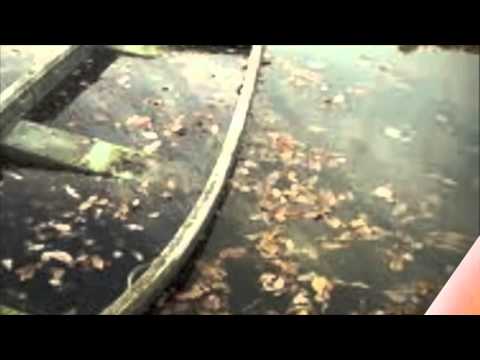 KOUROS Ghayegh Shekasteh