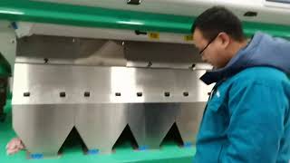 color sorter machine for desiccated coconuts