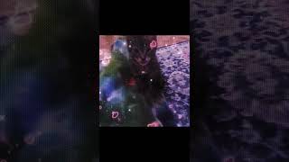hello? kitty♡  | capcut template from tiktok by @tokk.i1
