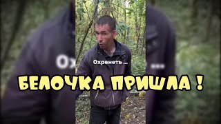 картинка: Белочка пришла Подборка приколов #поржать