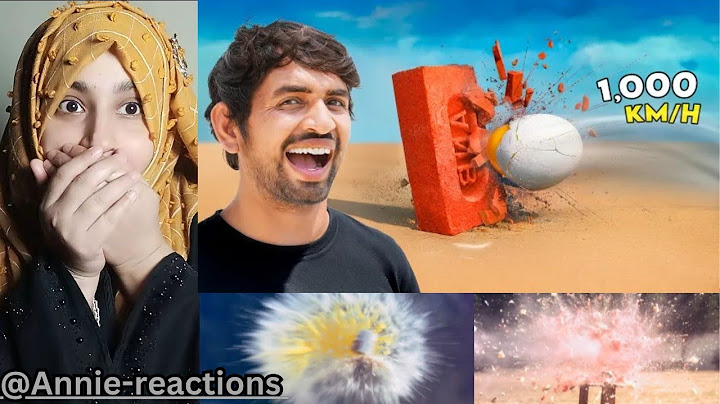 World's Most Powerful Egg - 1000 Km/ h | क्या यह अंडा ईंट को तोड़ सकता है ? | SHOCKING 😲| Reaction!!