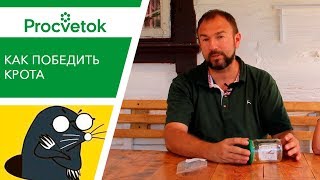 Крот в огороде. Гуманные средства борьбы. Отпугиватель кротов своими руками