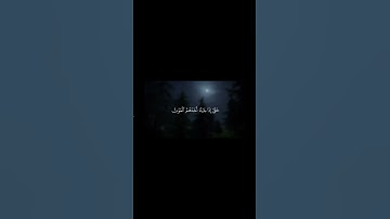 قران-ياسر الدوسري-سورة المؤمنون