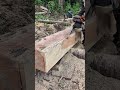¿Será que me pagan bien por aserrar madera? 🤔 #chainsaw #sthil #asmr #madera #woodworking